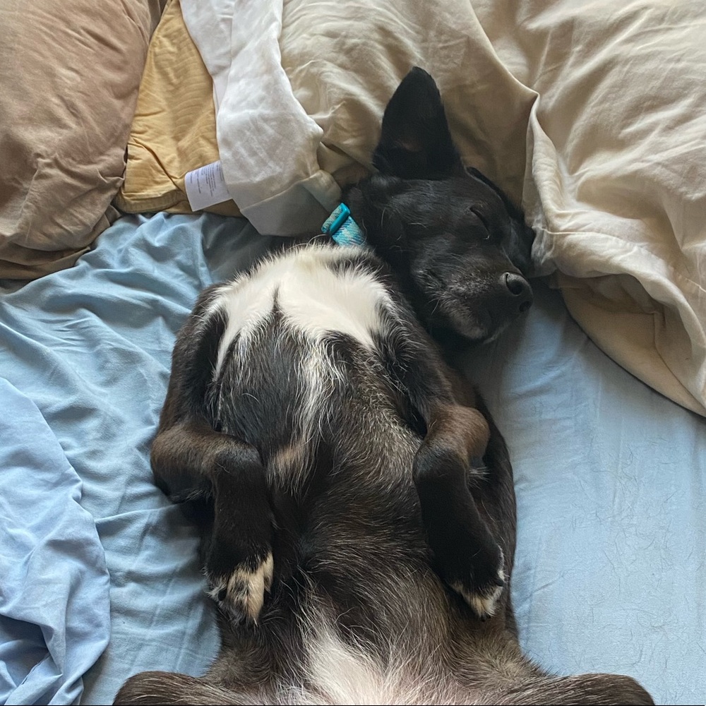 Meet your Posher, Tashira